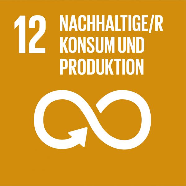 Ziel 12 Nachhaltige/r Konsum und Produktion