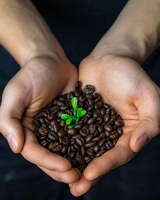 Foto von zwei Händen, die Fairtrade Kaffe halten