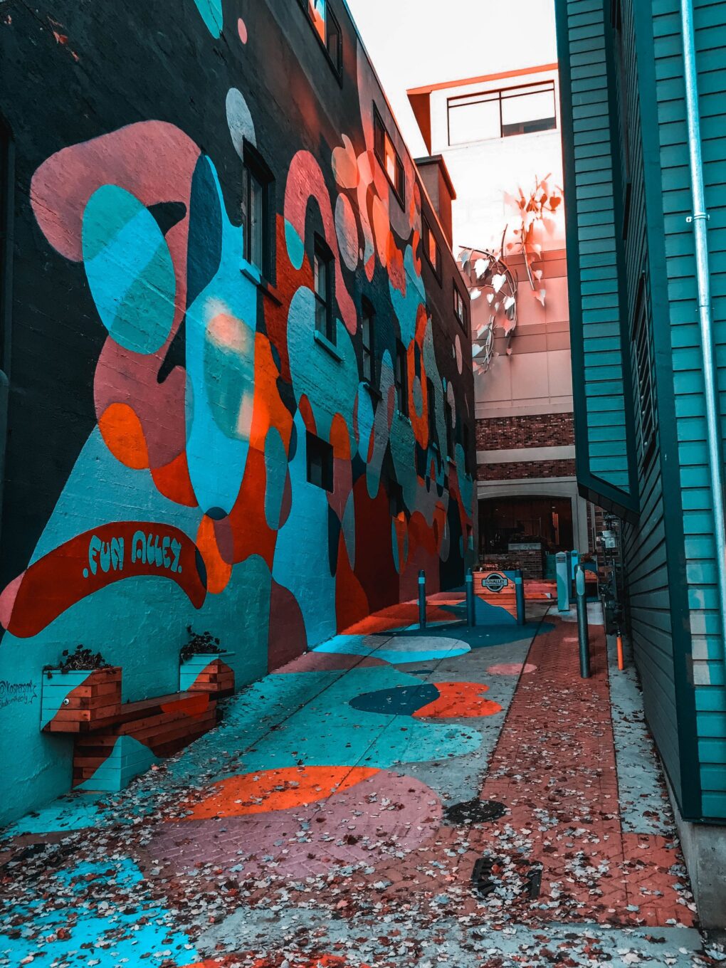 vlad-bunu-d2Q0ZXnWI_c-unsplash